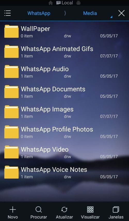 arquivos lixo whatsapp
