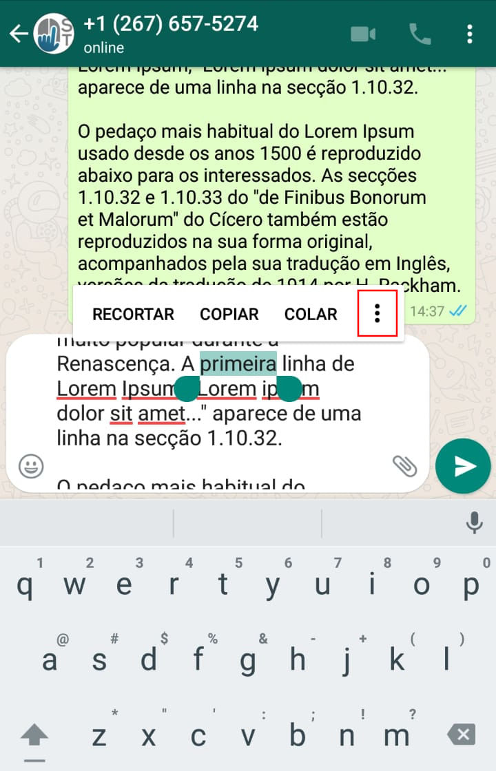 whatsapp texto avancado